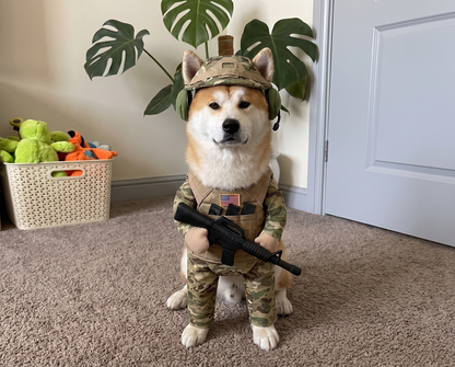 Military costume